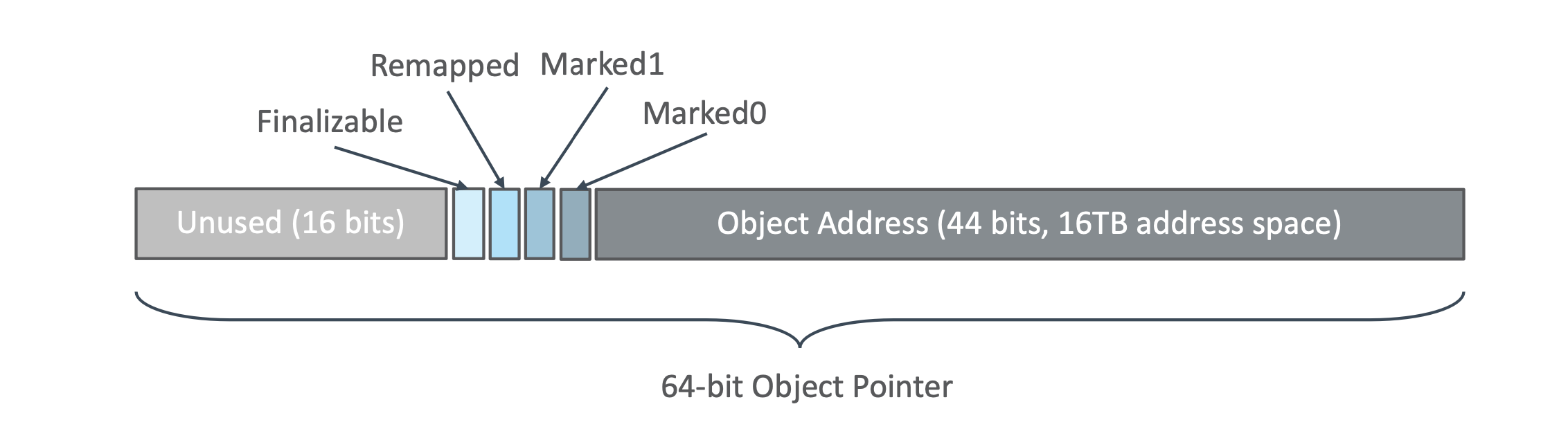 image-20240126080622192